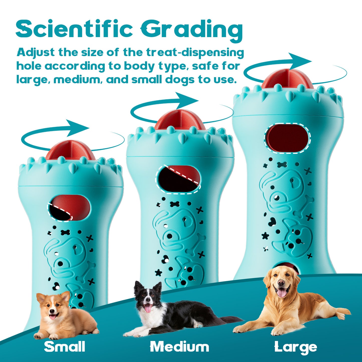 b998243f-34f5-41ca-98a2-0acac8e5ec49