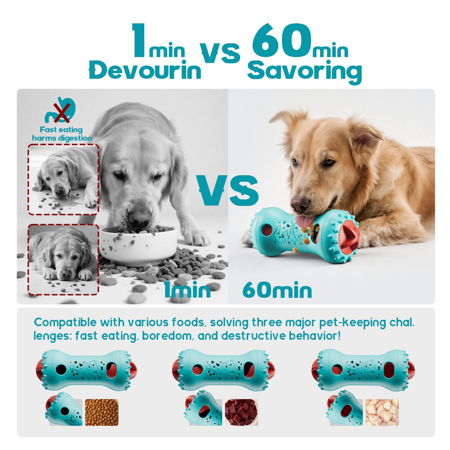 2aab4a07-69bb-418f-b994-22224a9acae8