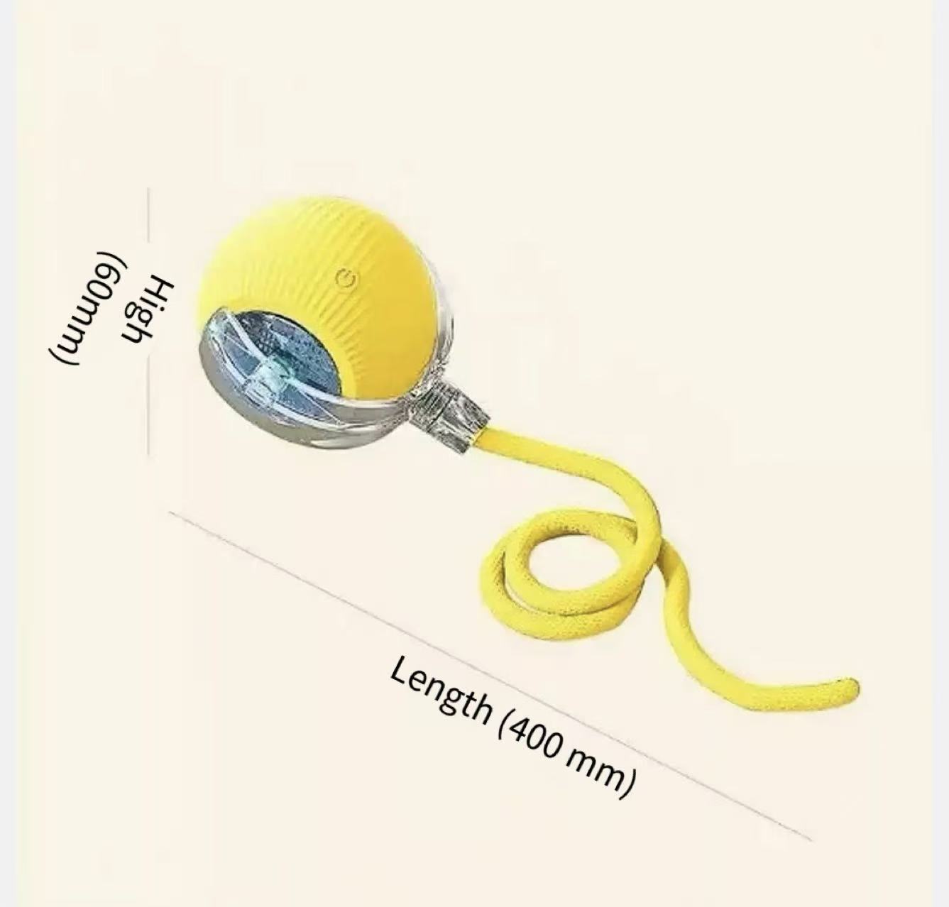 Cat walking ball