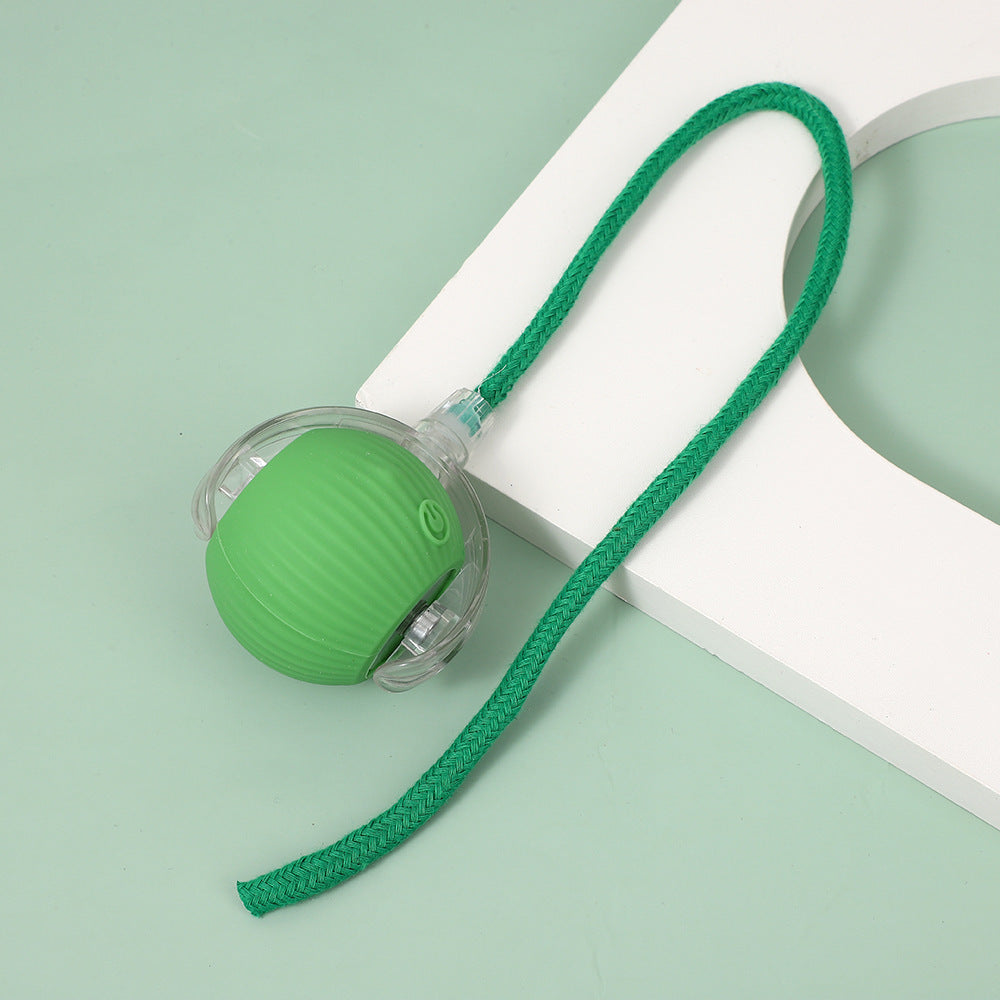 Cat walking ball