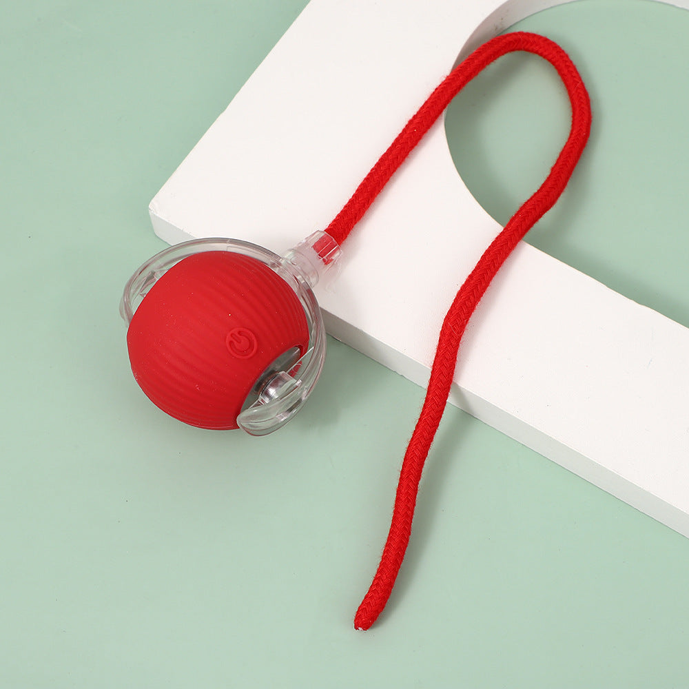 Cat walking ball