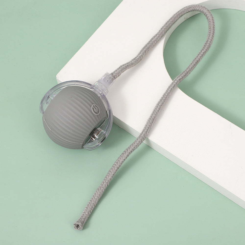 Cat walking ball